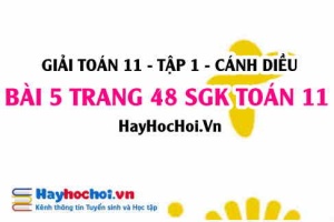 Giải bài 5 trang 48 Toán 11 tập 1 SGK Cánh Diều